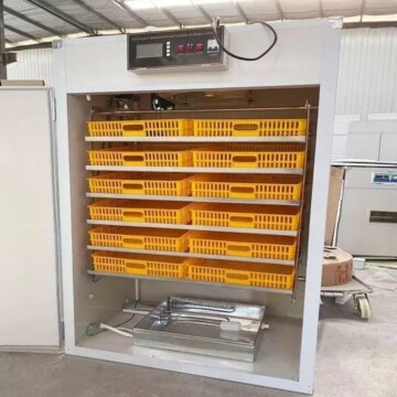 520 Egg Incubator and Hatcher - Fully Automatic Digital