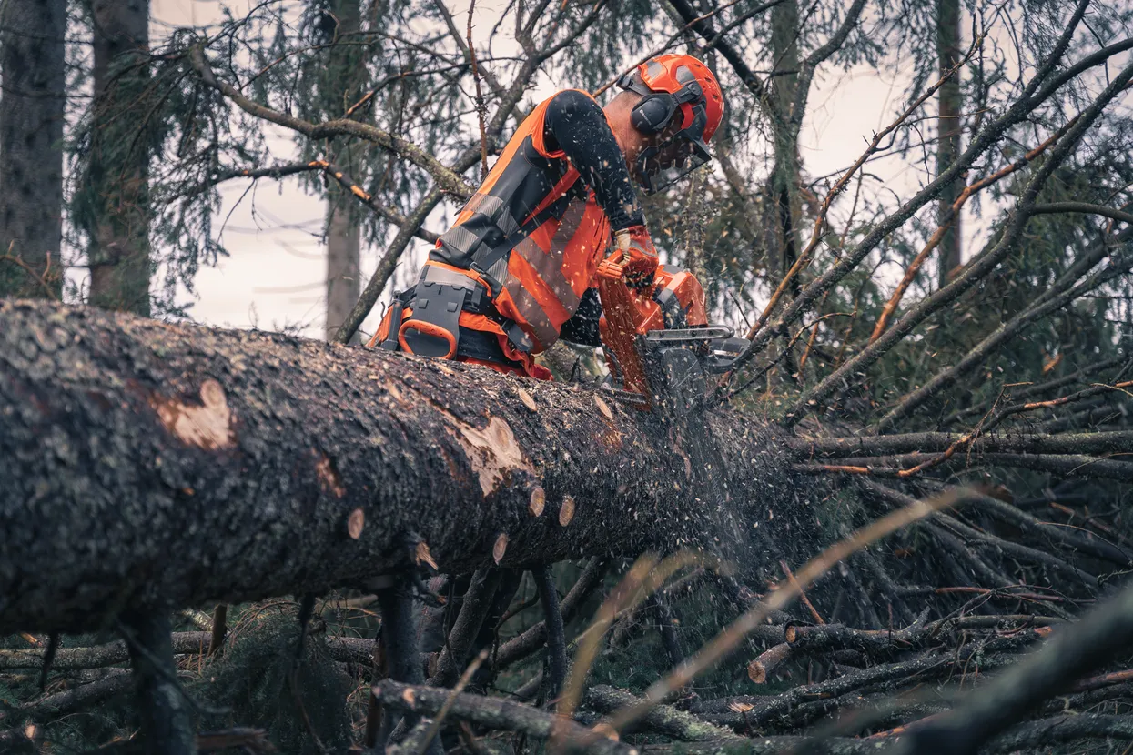 HUSQVARNA 592 XP.
