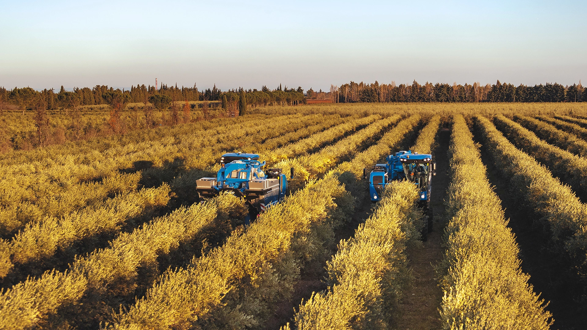 braud-10-90x-olive-grape-harvester-hero